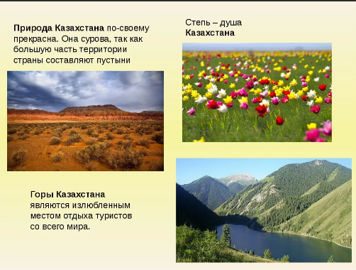 Распределенное лидерство как метод повышения профессиональной компетенции педагогических работников